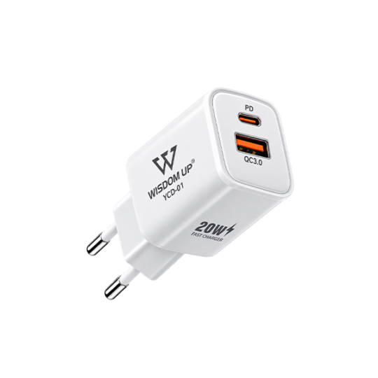 wisdom up YCD-01 - 10 charger head