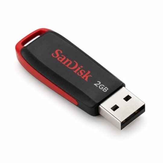 SanDisk 2GB USB Flash Drives